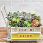 パン屋さん　寄せ植え