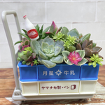牛乳屋さん　寄せ植え