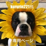 顔出しシリーズ❤︎犬用ひまわり