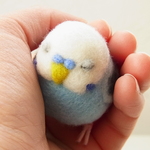 カラーオーダー　　ふくふく　おねむなセキセイインコ
