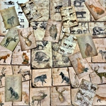 (再販×11)動物達の古い紙ものセット＊コラージュ素材＊ジャンクジャーナル