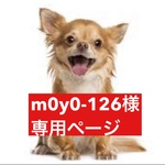 専用ページ