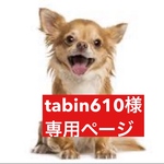 専用ページ