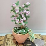 ミニチュアの花…「ピンクのつる薔薇とラッキークロバーのコンテナB」