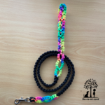 ドッグカフェリード13　花火