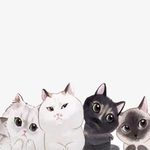manamyon様専用