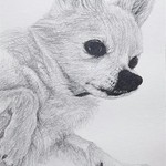 woodymama-16様専用