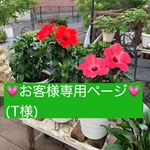🌺お客様専用ページ🌺(T様)