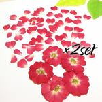 【2setパック】♡×1000記念♡薔薇と花びら達の押し花素材セット