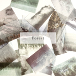 海外ステッカー “Forest” photo sticker 20枚set 韓国フレークシール