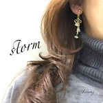 Storm      嵐     〜雷とヒョウ〜