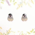 ～小さなピアスシリーズ～桜文鳥のピアス/ノンホールピアス(樹脂イヤリング)