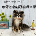 羊毛フエルト　オーダー　(小サイズ)