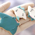 マンタ　エイ親子セットのクッキー型　「水族館シリーズ」～海のゆかいな仲間たち〜　