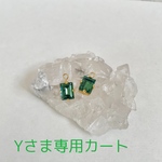Yさま専用カート