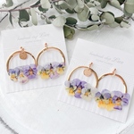 viola×gold ring   ピアス/イヤリング
