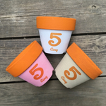 リメイク鉢 5番セット(3鉢)