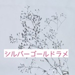 カスミ草＊シルバーゴールドラメ☆送料無料＆4点毎に1点おまけ付き♡ 