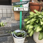 yashio-h様オーダー品　ガーデンプレート【サインピック グリーンGARDEN】サインピック/デコパージュ /ガーデニング