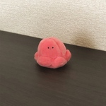ミニタコ
