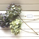 秋色紫陽花ドライフラワー　Nセット　訳あり