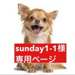 専用ページ