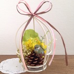 【再販なし♡特別企画19】bird cage♡
