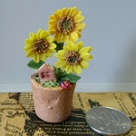 ミニチュアの花…「ひまわりのコンテナB」