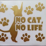 NO CAT, NO LIFE①(マットゴールド)