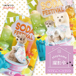 ステイホームde撮影会2021【8月】／うちの子♥写真でつくるポストカード／真夏のSodaFestival