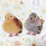 ♡専用出品♡ドバト・キジバトブローチ