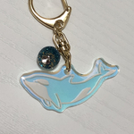 【空飛ぶ水族館】シャチ