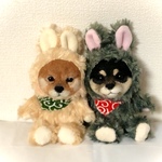 うさぎの着ぐるみ黒豆柴ちゃん🐶　黒柴犬　黒豆柴　羊毛フェルト　テディベア　テディドッグ　ぬいぐるみ