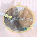 ｡* ❤︎… midori様専用ページ…❤︎*。