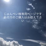 じゅんぺい様専用ページ❣️接触冷感2wayマスクカバー