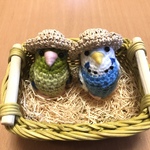 mizuhonemotoさま♡ご注文専用ページ:セキセイインコちゃん&マメルリハちゃんセット