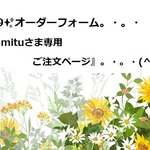 RG169✨オーダーフォーム✨『minamituさま専用ご注文ページ』。・。・(^^♪
