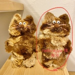 野良猫さん