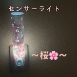 センサーライト💡サクラ🌸