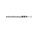 AndrianDanuharja様 専用ページ　ブライスアウトフィット 