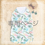 専用ページ