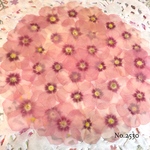 ♡人気作品♡ 作家様必見！ 落ち着いた大人カラー♡フロックス押し花セット