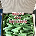 【鹿児島産】甘塩オクラ箱込み１キロ^_^
