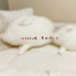 ＊ppt265s様　専用ページ＊