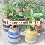 junchin様専用ページ