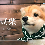 豆柴♡