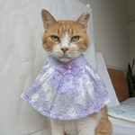 レーシーラベンダードレス