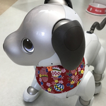 aiboちゃんのスタイ　aibo's bib 花柄&手鞠柄　とご希望の方のみ　マスク