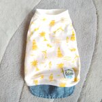 専用ページ