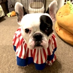 🤡くいだおれガボ子